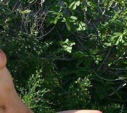 Дианочка — фото 5